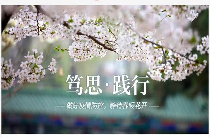 1587803209165217.jpg 1587803209165217.jpg